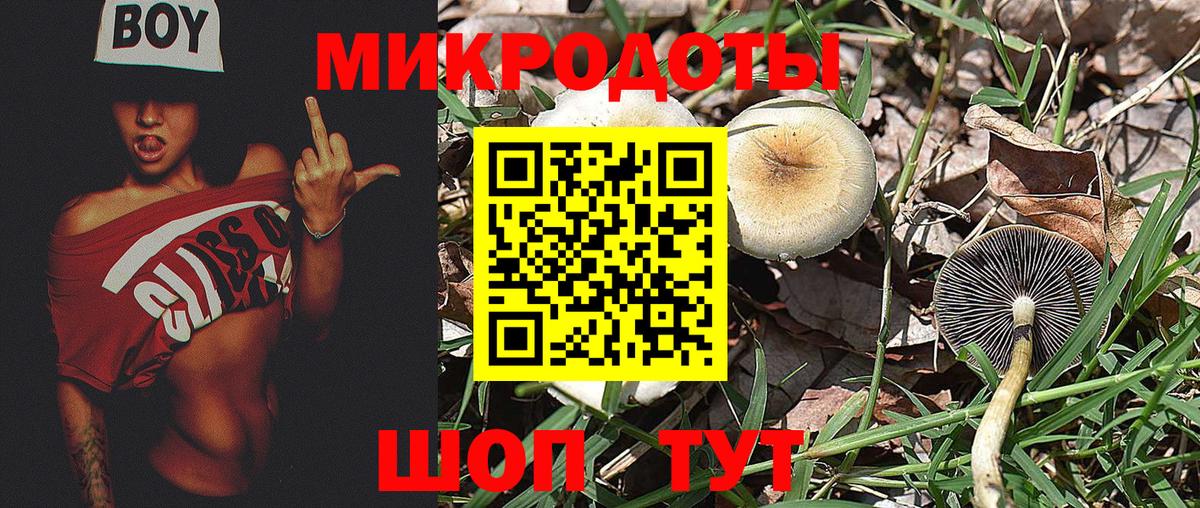 Псилоцибиновые грибы MAGIC MUSHROOMS Кумертау