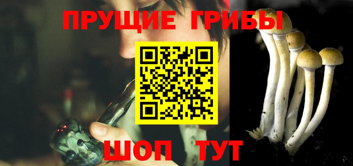 Псилоцибиновые грибы Psilocybe  Псилоцибиновые грибы мицелий  как найти закладки  Вход с VPN  Кумертау 
